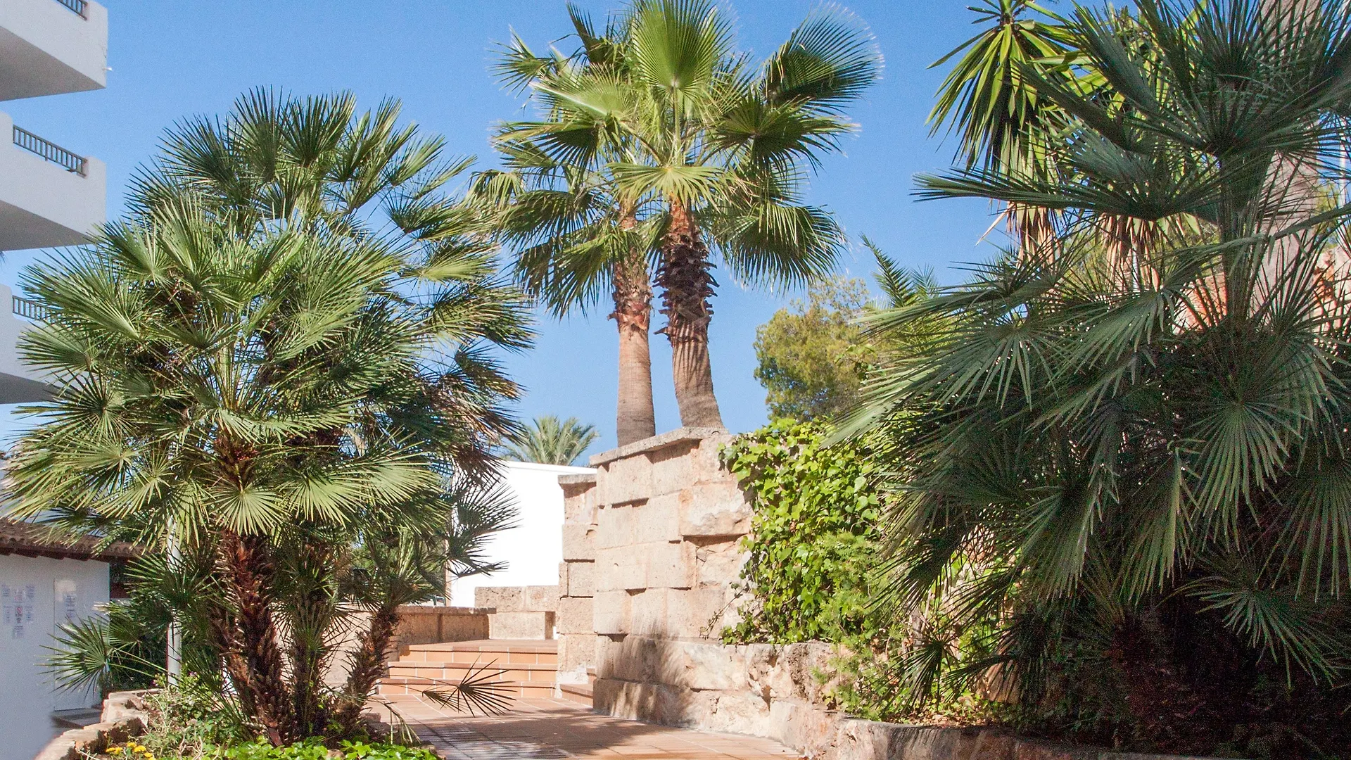 Globales Costa De La Calma Lejlighedshotel Santa Ponsa